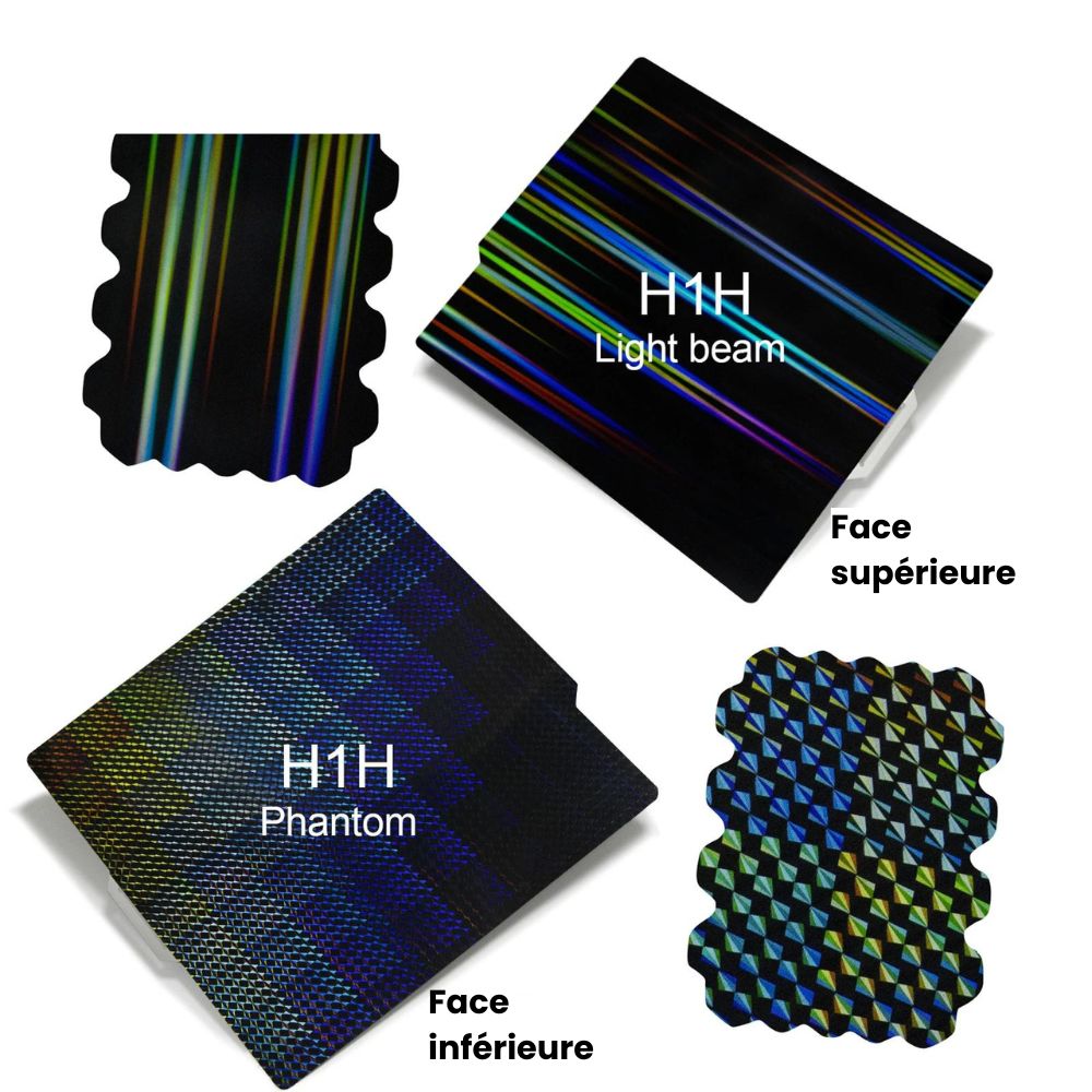 Ziflex Plateau d'Impression pour Bambu Lab H1H